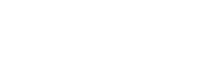 Alianza Team