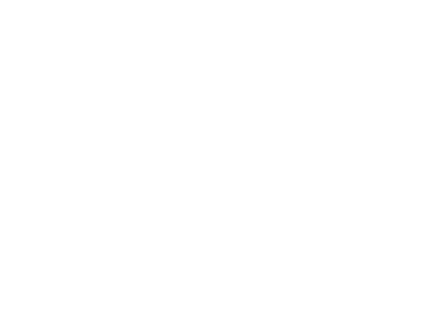 Ametller Origen